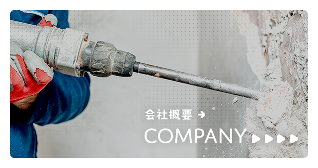 sp_bnr_company